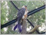 Wien_ZOO-017.webp