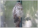 Wien_ZOO-021.webp