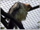 Wien_ZOO-022.webp