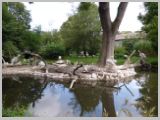 Wien_ZOO-029.webp