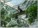 Wien_ZOO-046.webp