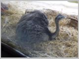 Wien_ZOO-054.webp