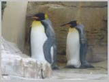 Wien_ZOO-064.webp