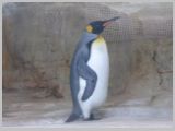 Wien_ZOO-065.webp