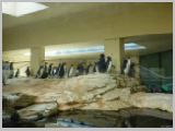 Wien_ZOO-066.webp