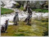 Wien_ZOO-069.webp