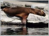 Wien_ZOO-072.webp