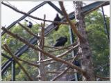 Wien_ZOO-080.webp