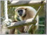 Wien_ZOO-086.webp