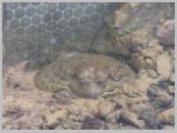 Wien_ZOO-092.webp