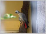Wien_ZOO-095.webp