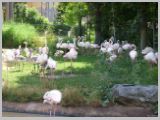 Wien_ZOO-111.webp