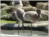 Wien_ZOO-112.webp
