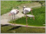 Wien_ZOO-113.webp
