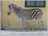Wien_ZOO-114.webp