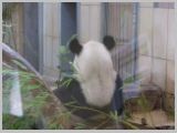 Wien_ZOO-122.webp