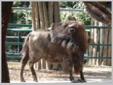 Wien_ZOO-139.webp