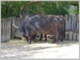 Wien_ZOO-145.webp