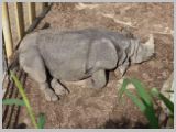 Wien_ZOO-151.webp
