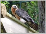 Wien_ZOO-153.webp