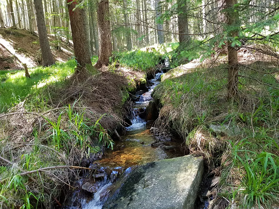Slika je vidna v Google Chromu.