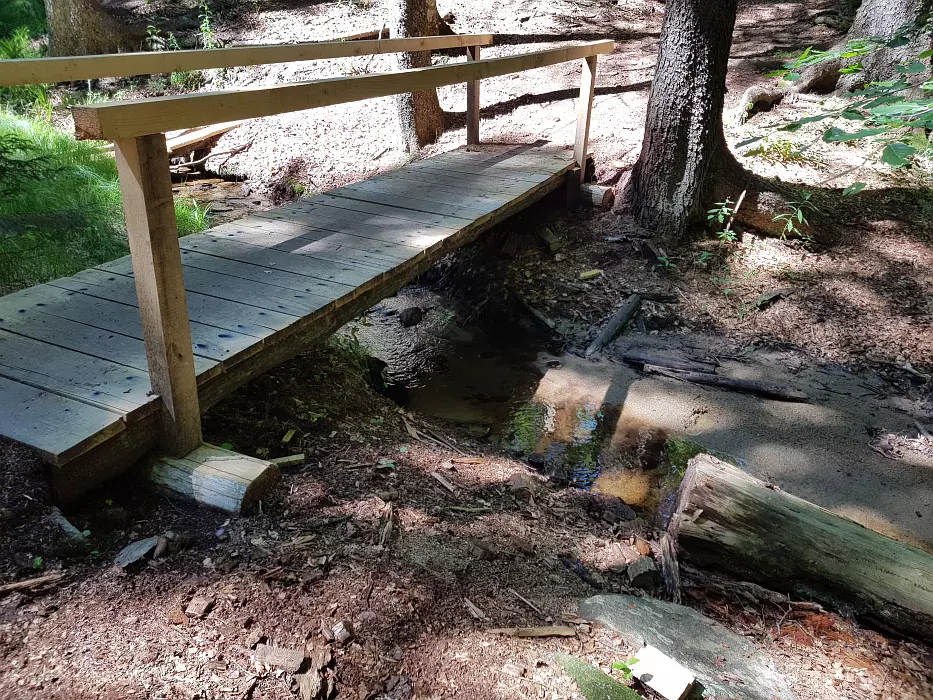 Slika je vidna v Google Chromu.