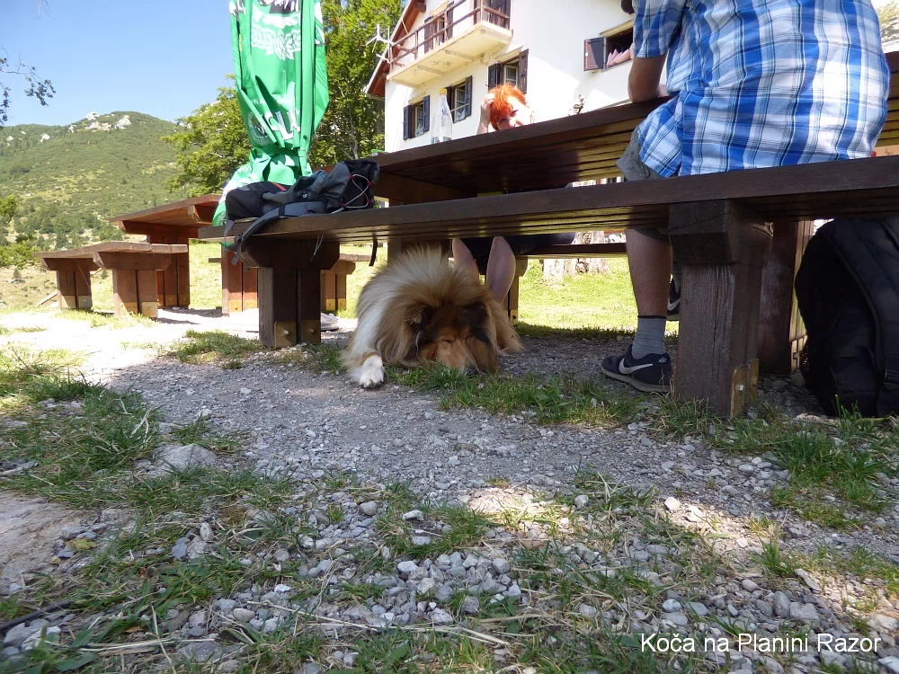 Slika je vidna v Google Chromu.