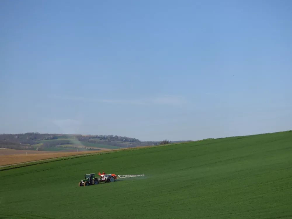 Slika je vidna v Google Chromu.