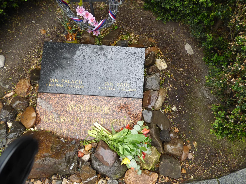 Slika je vidna v Google Chromu.