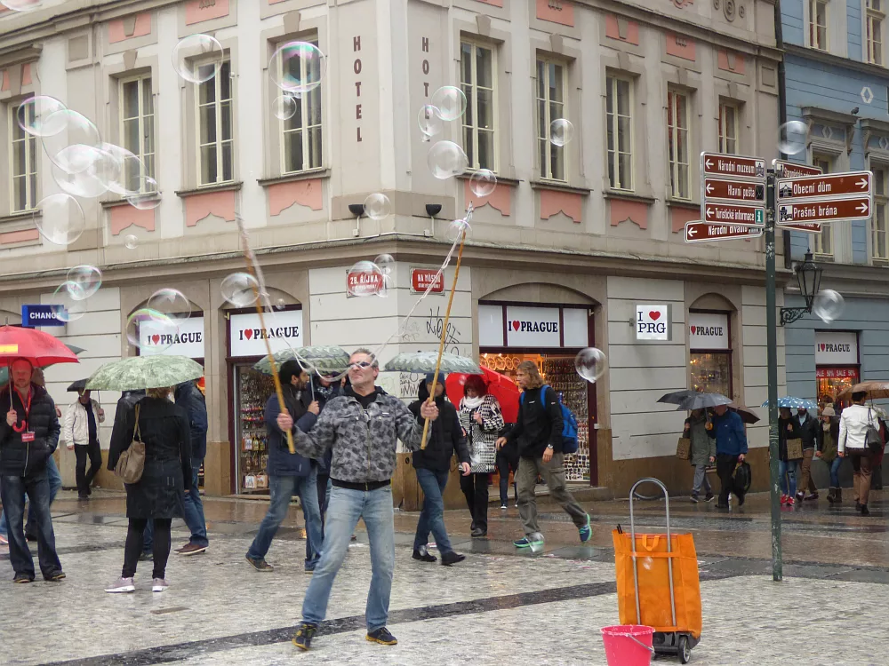 Slika je vidna v Google Chromu.