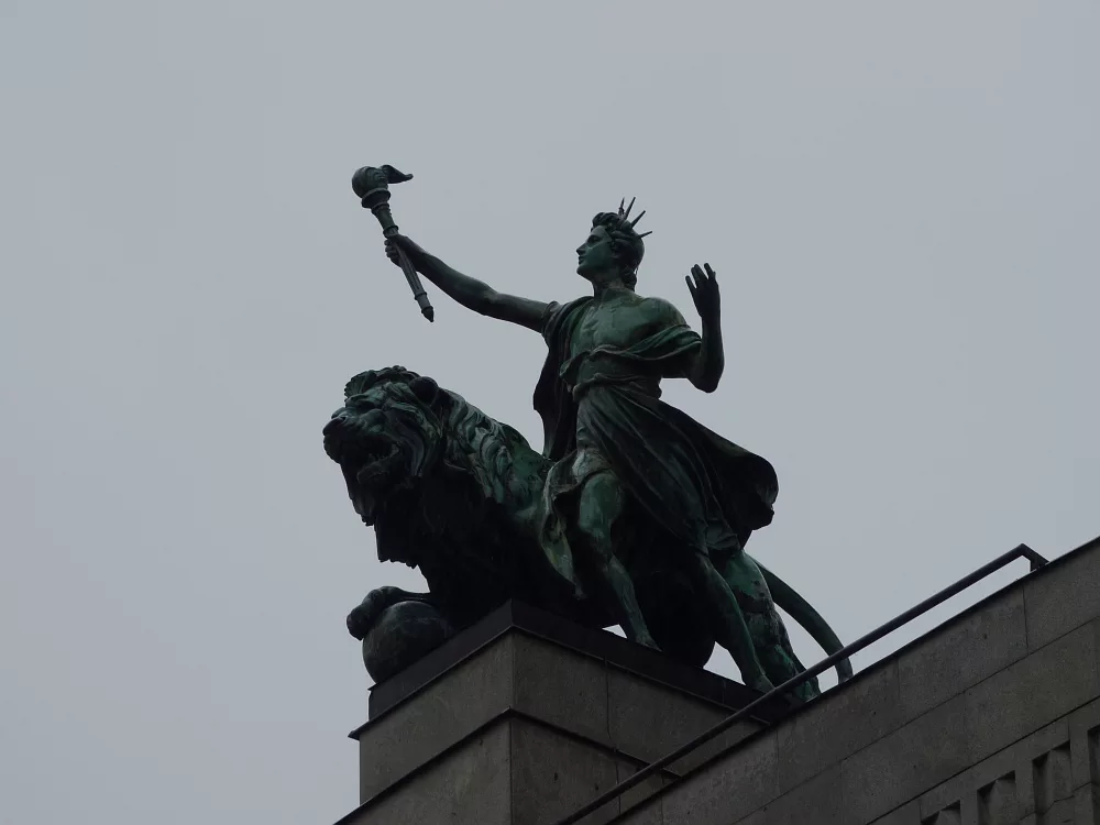 Slika je vidna v Google Chromu.