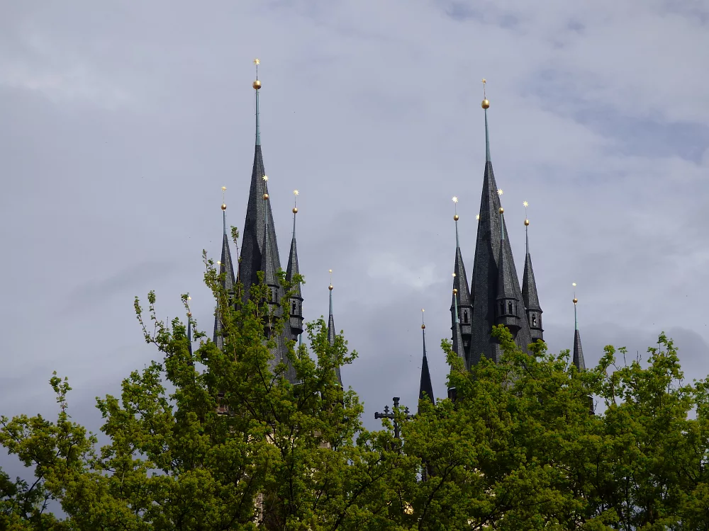 Slika je vidna v Google Chromu.