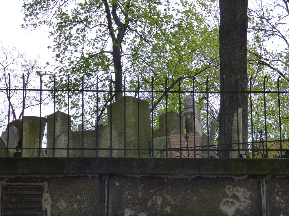 Slika je vidna v Google Chromu.