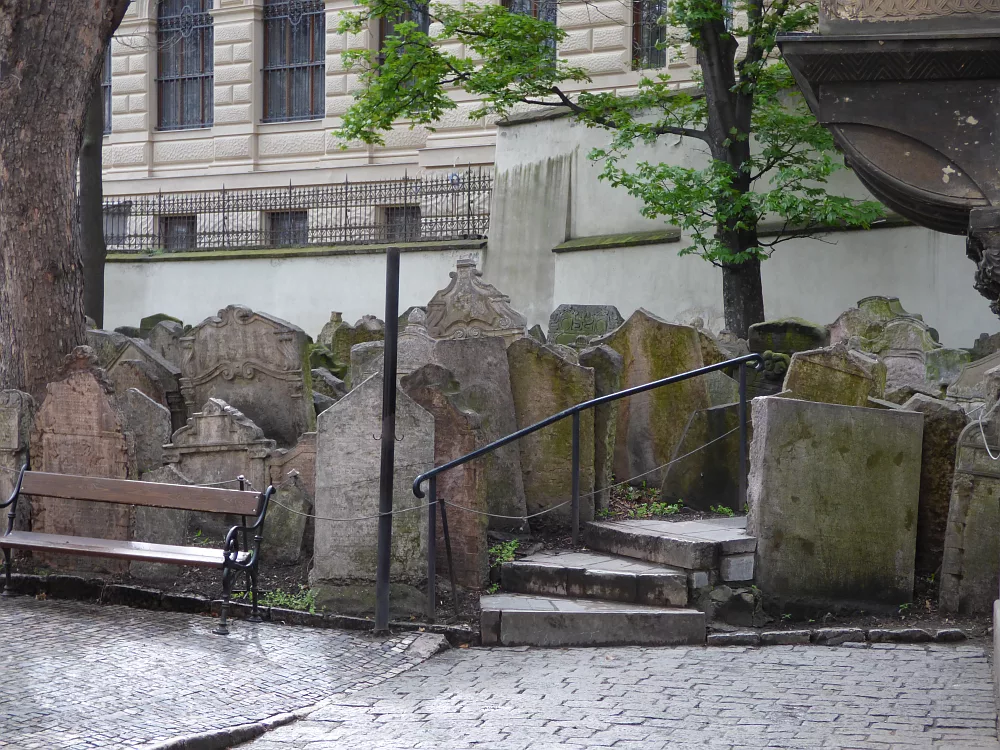 Slika je vidna v Google Chromu.