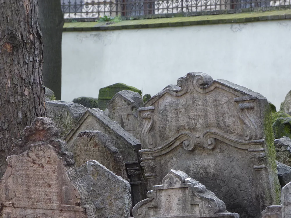 Slika je vidna v Google Chromu.