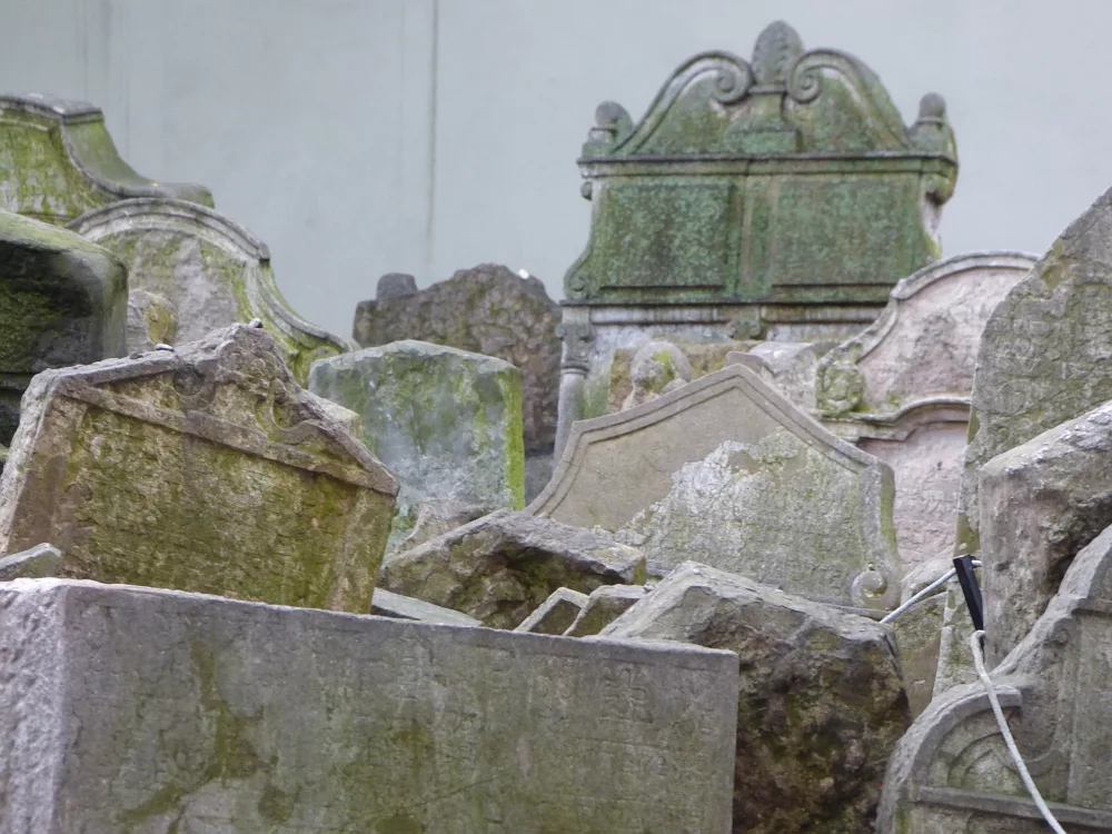 Slika je vidna v Google Chromu.