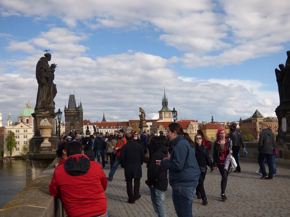 Slika je vidna v Google Chromu.
