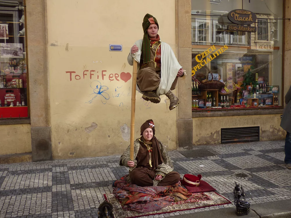 Slika je vidna v Google Chromu.