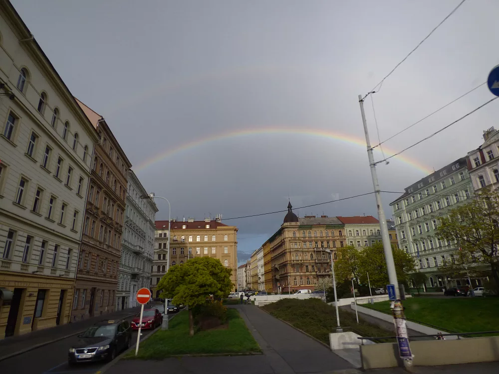 Slika je vidna v Google Chromu.