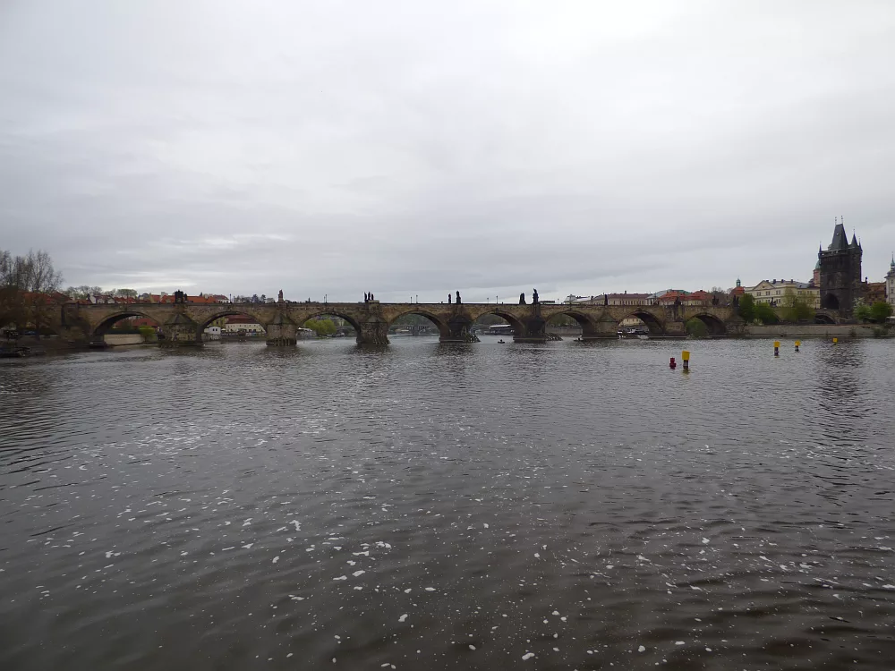 Slika je vidna v Google Chromu.