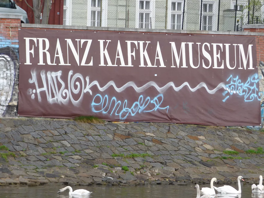 Slika je vidna v Google Chromu.