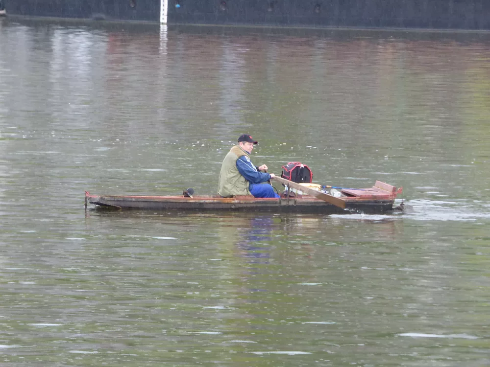 Slika je vidna v Google Chromu.