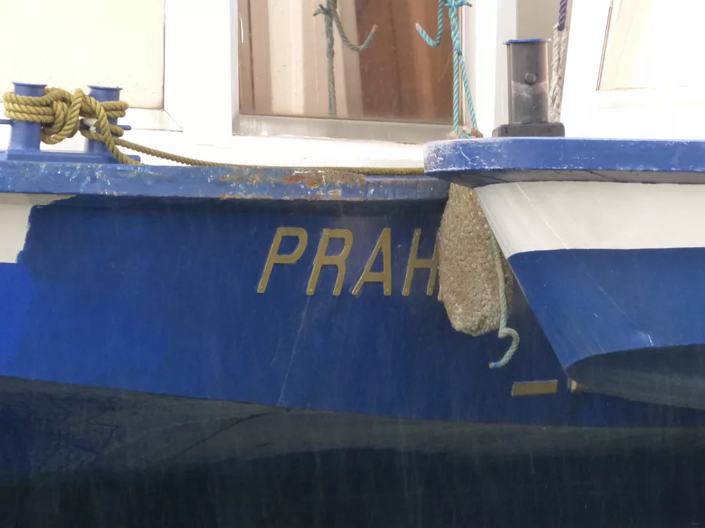 Slika je vidna v Google Chromu.