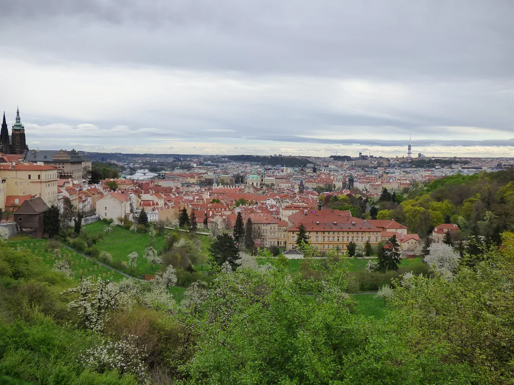 Slika je vidna v Google Chromu.