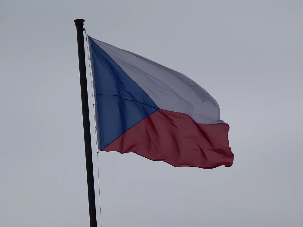 Slika je vidna v Google Chromu.