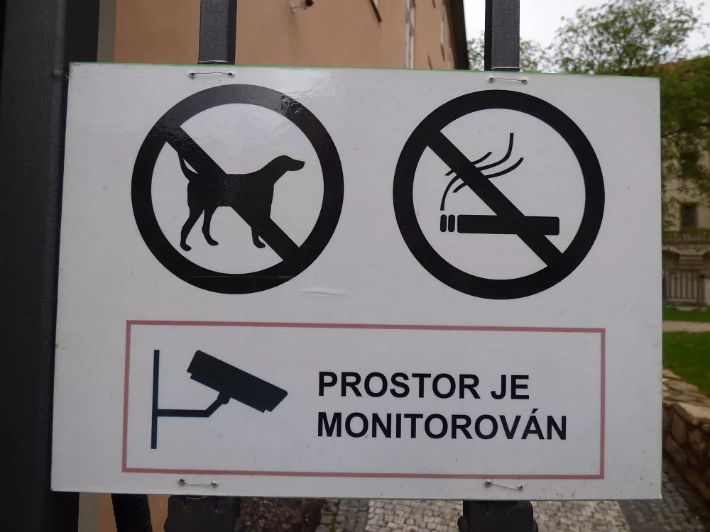 Slika je vidna v Google Chromu.