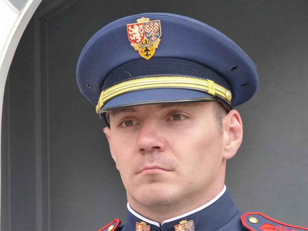 Slika je vidna v Google Chromu.