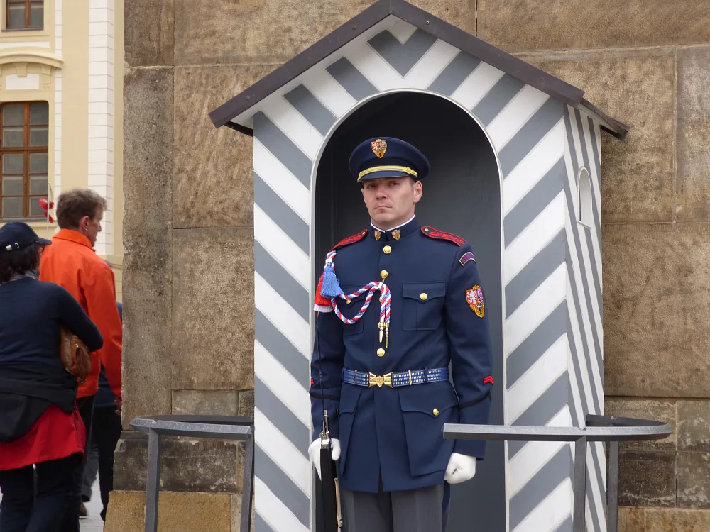 Slika je vidna v Google Chromu.