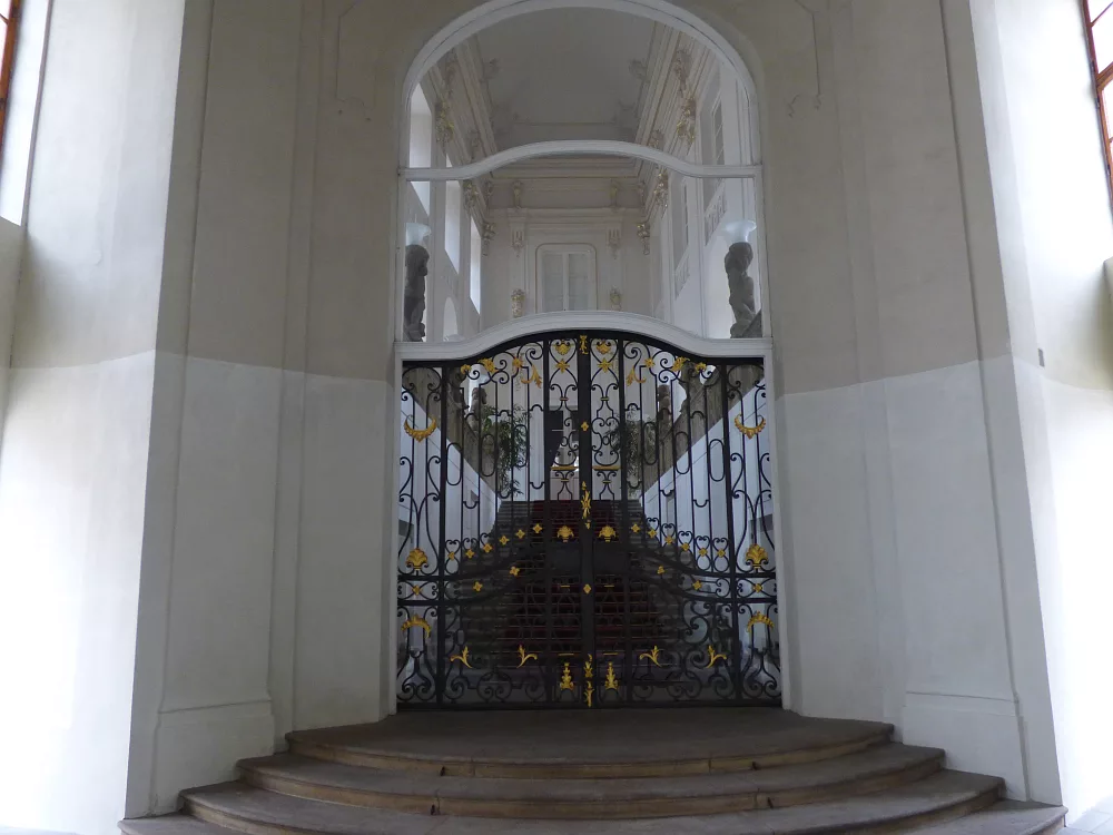 Slika je vidna v Google Chromu.