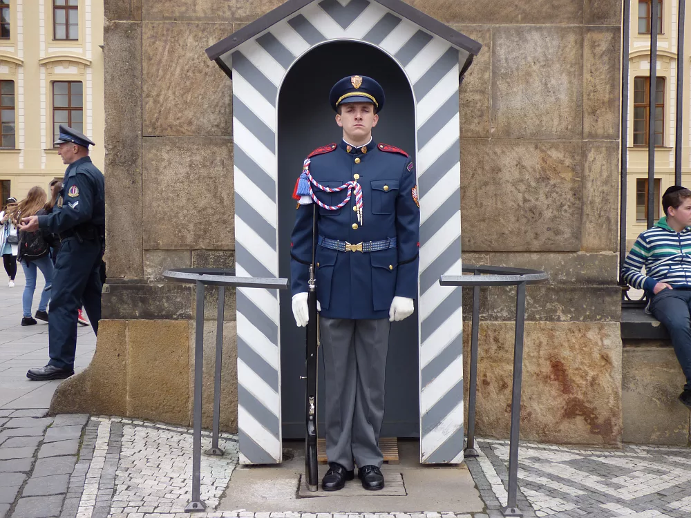 Slika je vidna v Google Chromu.